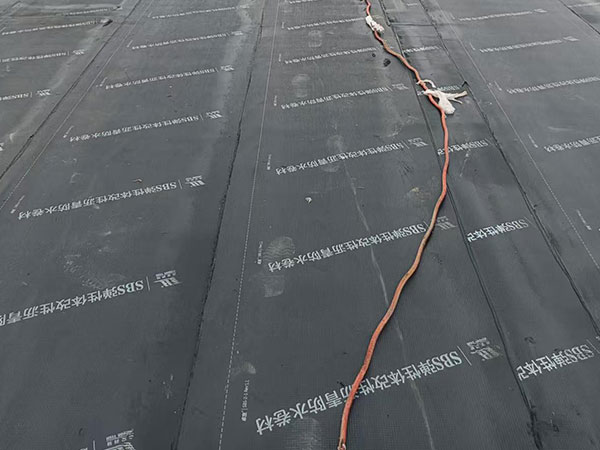 衛(wèi)生間防水堵漏